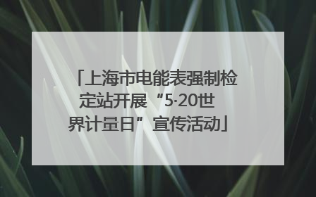 上海市电能表强制检定站开展“5·20世界计量日”宣传活动