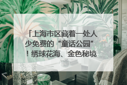 上海市区藏着一处人少免费的“童话公园”！绣球花海、金色秘境……地铁直达→