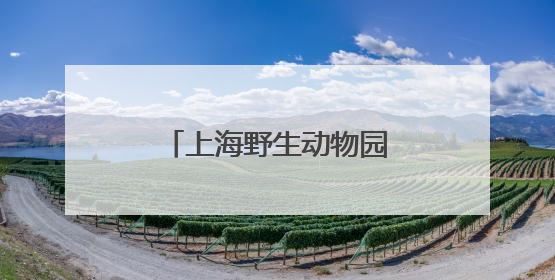 上海野生动物园发文科普非洲象：同一只非洲象长期被欺负消息不实