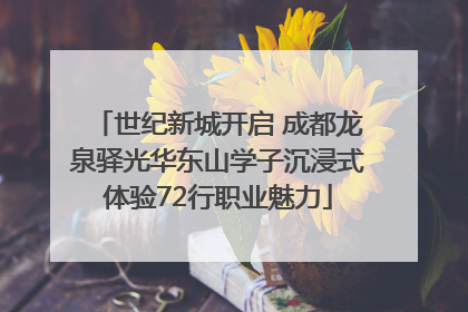 世纪新城开启 成都龙泉驿光华东山学子沉浸式体验72行职业魅力