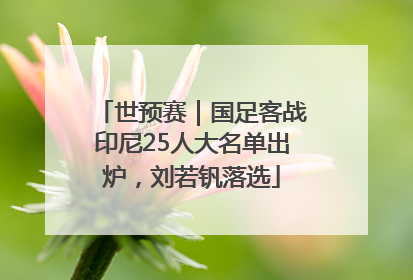 世预赛｜国足客战印尼25人大名单出炉，刘若钒落选