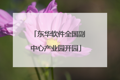东华软件全国副中心产业园开园