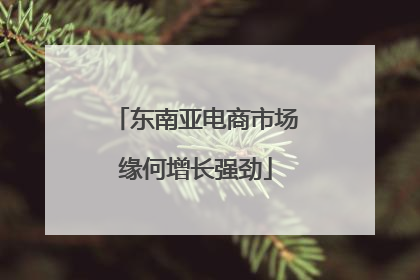 东南亚电商市场缘何增长强劲