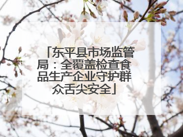 东平县市场监管局：全覆盖检查食品生产企业守护群众舌尖安全