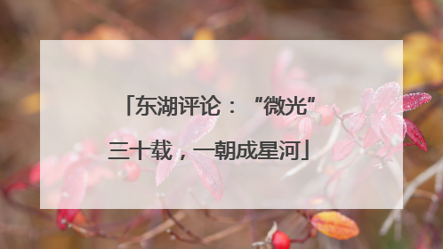 东湖评论：“微光”三十载，一朝成星河