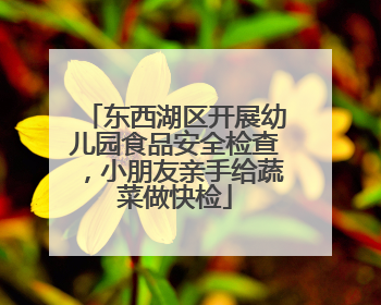 东西湖区开展幼儿园食品安全检查，小朋友亲手给蔬菜做快检