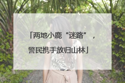 两地小鹿“迷路”，警民携手放归山林