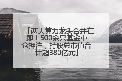 两大算力龙头合并在即！500余只基金重仓押注，持股总市值合计超380亿元