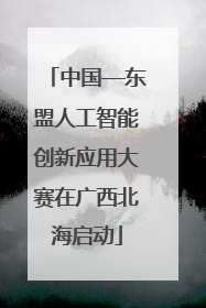 中国—东盟人工智能创新应用大赛在广西北海启动