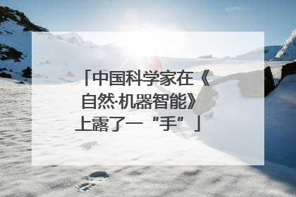 中国科学家在《自然·机器智能》上露了一“手”