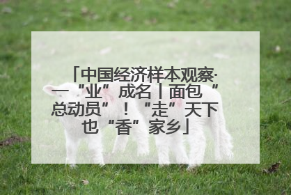 中国经济样本观察·一“业”成名丨面包“总动员”！“走”天下也“香”家乡