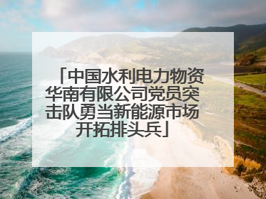 中国水利电力物资华南有限公司党员突击队勇当新能源市场开拓排头兵