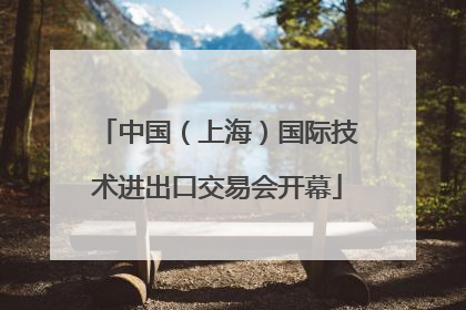 中国（上海）国际技术进出口交易会开幕