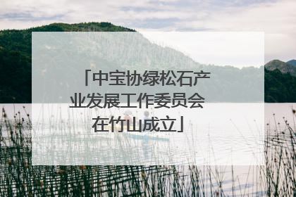中宝协绿松石产业发展工作委员会在竹山成立