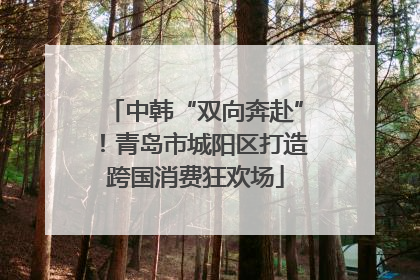 中韩“双向奔赴”！青岛市城阳区打造跨国消费狂欢场