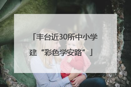 丰台近30所中小学建“彩色学安路”
