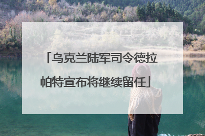 乌克兰陆军司令德拉帕特宣布将继续留任