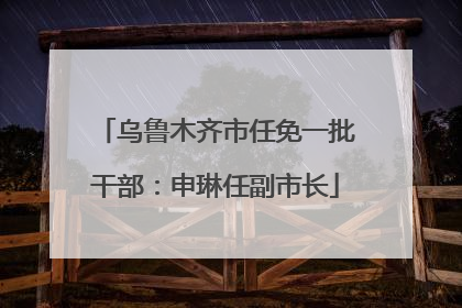 乌鲁木齐市任免一批干部：申琳任副市长