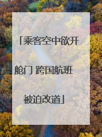 乘客空中欲开舱门 跨国航班被迫改道