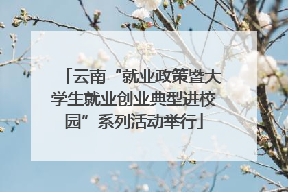 云南“就业政策暨大学生就业创业典型进校园”系列活动举行