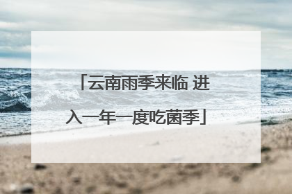 云南雨季来临 进入一年一度吃菌季