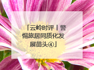 云岭时评丨警惕旅居同质化发展苗头④