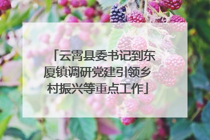 云霄县委书记到东厦镇调研党建引领乡村振兴等重点工作