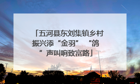 五河县东刘集镇乡村振兴添“金羽” “鸽”声叫响致富路