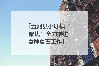 五河县小圩镇“三聚焦”全力推进夏种夏管工作