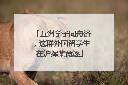 五洲学子同舟济，这群外国留学生在沪挥桨竞逐
