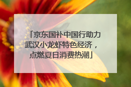 京东国补中国行助力武汉小龙虾特色经济，点燃夏日消费热潮