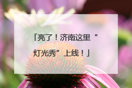 亮了！济南这里“灯光秀”上线！