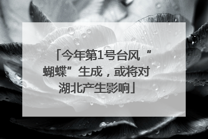 今年第1号台风“蝴蝶”生成，或将对湖北产生影响