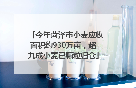 今年菏泽市小麦应收面积约930万亩，超九成小麦已颗粒归仓