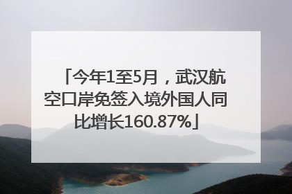 今年1至5月，武汉航空口岸免签入境外国人同比增长160.87%