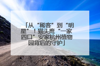 从“稀客”到“明星”！猫头鹰“一家四口”安家杭州植物园背后的守护