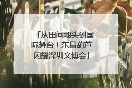 从田间地头到国际舞台！东昌葫芦闪耀深圳文博会