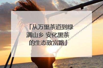 从万里茶道到绿满山乡 安化黑茶的生态致富路
