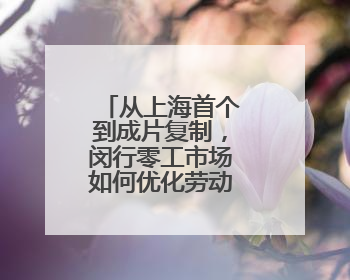 从上海首个到成片复制，闵行零工市场如何优化劳动就业服务？