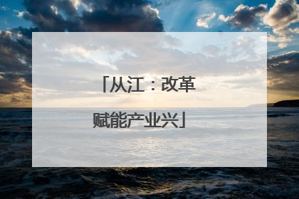 从江：改革赋能产业兴