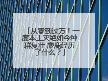 从零到过万！一度本土灭绝如今种群复壮 麋鹿经历了什么？