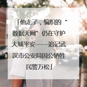 他走了，编织的“数据天网”仍在守护大城平安——追记武汉市公安局因公牺牲民警万松