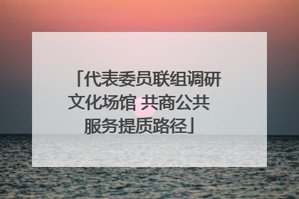 代表委员联组调研文化场馆 共商公共服务提质路径