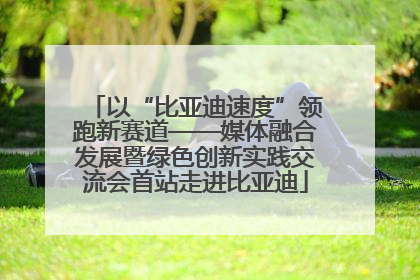 以“比亚迪速度”领跑新赛道——媒体融合发展暨绿色创新实践交流会首站走进比亚迪