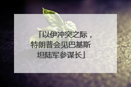 以伊冲突之际，特朗普会见巴基斯坦陆军参谋长