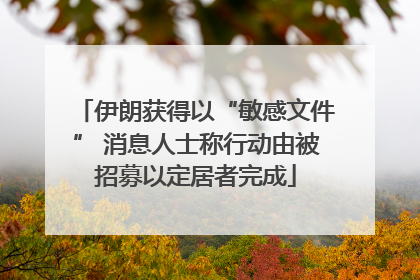 伊朗获得以“敏感文件” 消息人士称行动由被招募以定居者完成