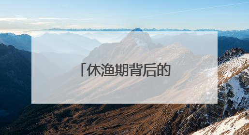 休渔期背后的电力守护者