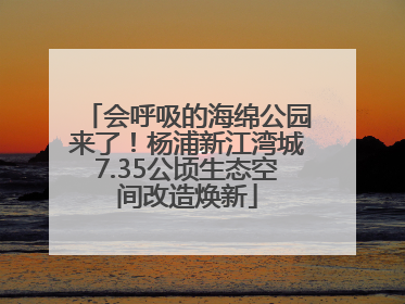 会呼吸的海绵公园来了！杨浦新江湾城7.35公顷生态空间改造焕新