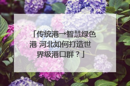 传统港→智慧绿色港 河北如何打造世界级港口群？