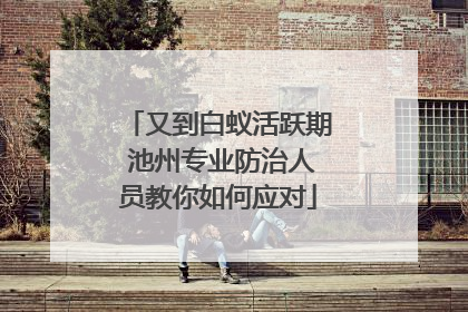 又到白蚁活跃期 池州专业防治人员教你如何应对
